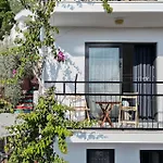 Caretta Kaş