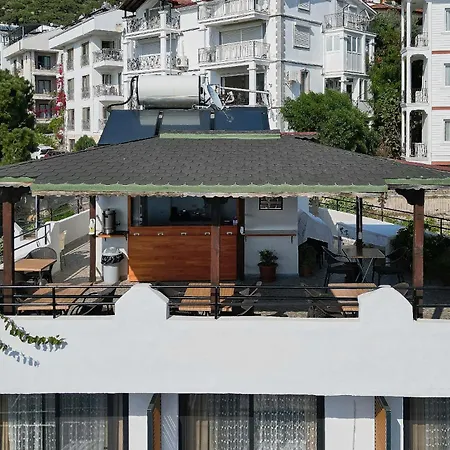 Caretta Kaş